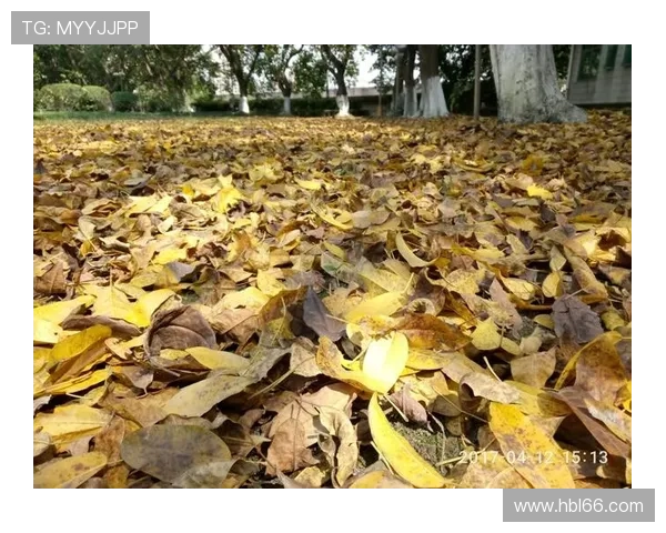 爱恨之约7：当执念化为宿命，悲欢离合皆是注定